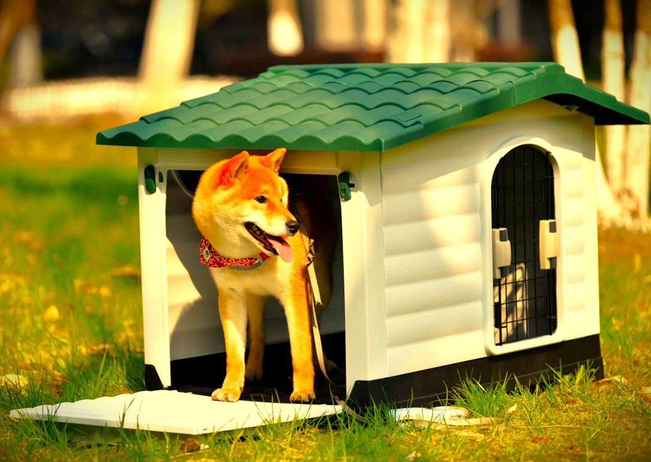 Plastic Dogs House 1