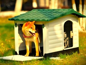 Plastic Dogs House
