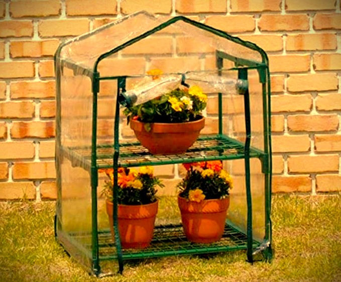 Small and Portable Plastic Greenhouse 1